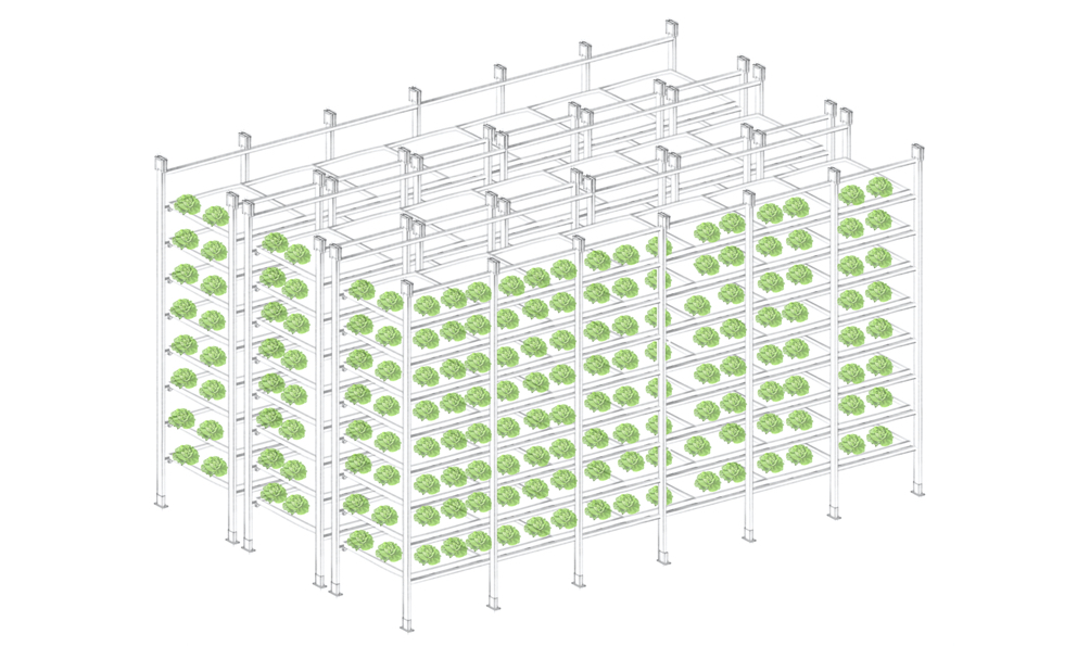 VERTICAL FARM